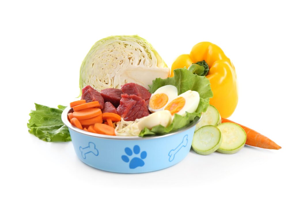 Plato para perro con comida Barf