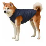 perro con chaleco impermeable azul marino
