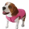 Chaleco Color Rosa Ideal para las Perritas Consentidas