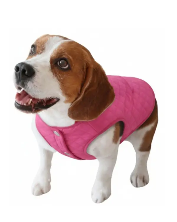 Chaleco Color Rosa Ideal para las Perritas Consentidas