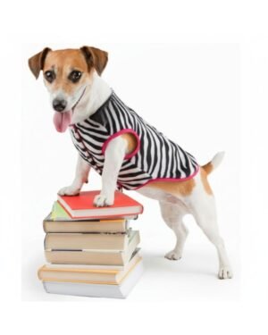 Chaleco Animal Print de Zebra: Elegancia para Perritas a la Moda