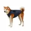 perro con chaleco impermeable Chaleco Impermeable Azul Marino confortable y calientito