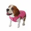 Chaleco Color Rosa Ideal para las Perritas Consentidas