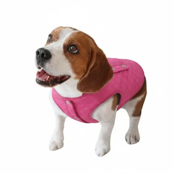 Chaleco Color Rosa Ideal para las Perritas Consentidas