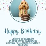 Kit de Celebracion Perro con su pastel
