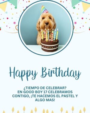 Kit de Celebracion Perro con su pastel