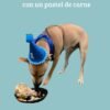 Celebra el Cumpleaños de tu Peludito con Nuestro Kit Especial