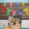 Celebra el Cumpleaños de tu Peludito con Nuestro Kit Especial
