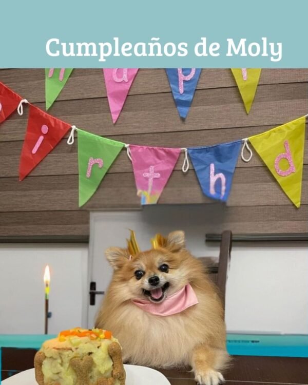 Celebra el Cumpleaños de tu Peludito con Nuestro Kit Especial