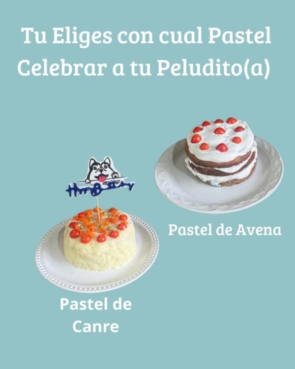 Celebra el Cumpleaños de tu Peludito con Nuestro Kit Especial