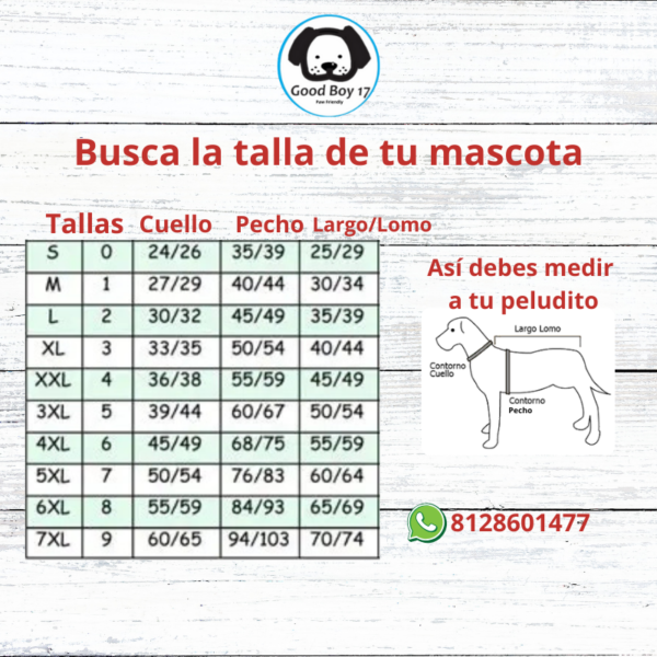 19 tabla de medidas de ropa para perros